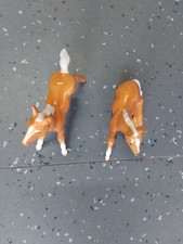 beswick palomino foal for sale beswick palomino foal for sale OLDHAM