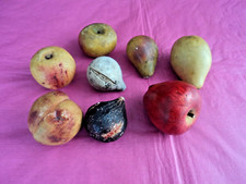 Frutta marmo alabastro usato  Savona