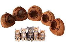 Katzenkorb größen 60cm gebraucht kaufen  Zittau
