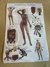 Anatomy collection set for sale  Alexandria