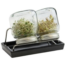 Sprossenglas system eschenfeld gebraucht kaufen  Kreuztal