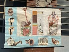 Poster didattico sei usato  Casalecchio di Reno