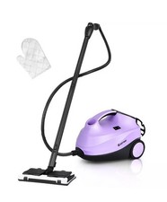 2000w steam cleaner for sale  Cleveland