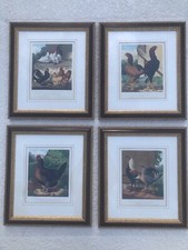 Cassell framed lithograph for sale  West Palm Beach