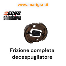 Frizione completa echo usato  Vallo della Lucania