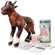 Jeu yoga chèvre d'occasion  Cholet