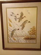 Dave chapple autumn for sale  Fowler
