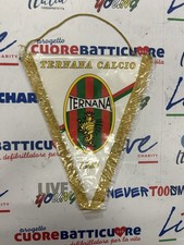 Gagliardetto pennant ternana usato  Vignate