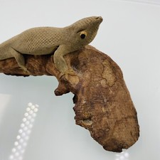 Gruesome gecko sculpture for sale  SUTTON COLDFIELD