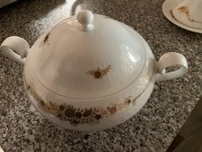 Rosenthal terrine romanze gebraucht kaufen  Kelheim