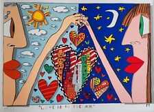 James rizzi love gebraucht kaufen  Korntal-Münchingen