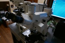 Zeiss trinocular axioskop usato  Luserna San Giovanni