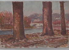 Quadro dipinto olio usato  Cirie