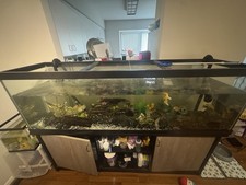 125 gallon fish for sale  Ellicott City