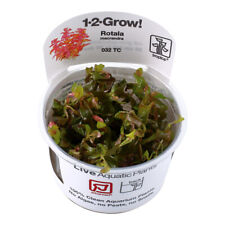 Tropica live aquarium for sale  DARTFORD
