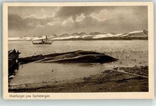 13486700 svalbard walfang gebraucht kaufen 13486700 svalbard walfang gebraucht kaufen  Eimeldingen