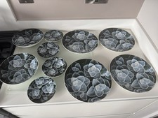 Habitat succulent bowl for sale  LONDONDERRY
