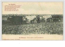 45. beauce.boeufs atteles d'occasion  France
