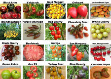 Ensemble graines tomate d'occasion  Expédié en France