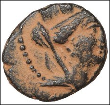 Seleucis pieria bronzo usato  Due Carrare
