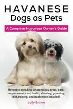 Havanese dogs pets for sale  ROSSENDALE