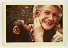 Snapshot monkey love d'occasion  Toulouse-