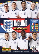 Panini adrenalyn euro for sale  PLYMOUTH