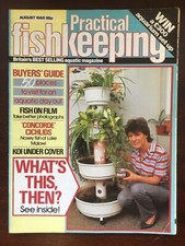 Practical fishkeeping august for sale  UK