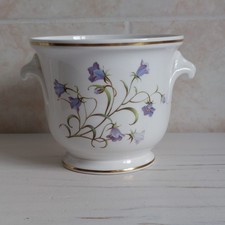 Spode campanula planter for sale Spode campanula planter for sale  KETTERING