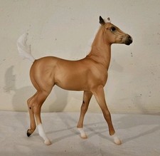 palomino quarter horse for sale  Fairfax