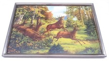 reh bilder gebraucht kaufen  Mering