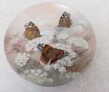 Red admirals lucy for sale  BLACKPOOL
