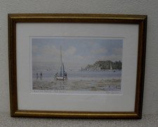 Robin davidson brownsea for sale  BIDEFORD