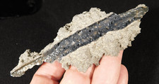 Big unique fulgurite for sale  Salt Lake City