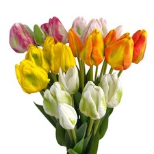 Künstliche papageien tulpen gebraucht kaufen  Wiesau