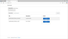 Dsfm server manager usato  Spedire a Italy