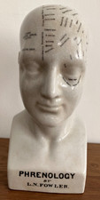 Phrenology head l.n. for sale  HASTINGS