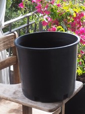 Pro cal gallon for sale  Berkeley