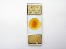 Antique microscope slide. for sale  LEDBURY