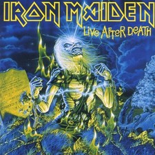 Iron maiden live usato  Trieste