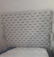 Emily bond dashund for sale  PULBOROUGH