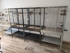 Sittichkäfig vogelkäfig voli gebraucht kaufen  Saarbrücken