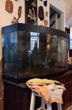 Foot fish tank for sale  WALTHAM CROSS