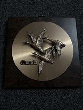 Wood plaque raised for sale  Taylor