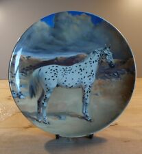 Spode appaloosa horse for sale  LUDLOW