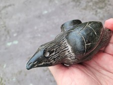 crow bird for sale  Montgomery