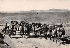 Algerie caravane d'occasion  France
