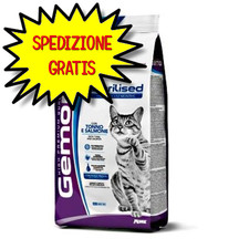 Gemon gatto adulto usato  San Felice Circeo
