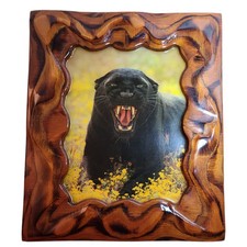 Vintage black panther for sale  Wickliffe