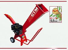 Biotrituratore scoppio gtm usato  Bisignano